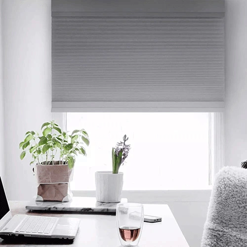 Cordless Top Down Bottom Up Cellular Shades  Office